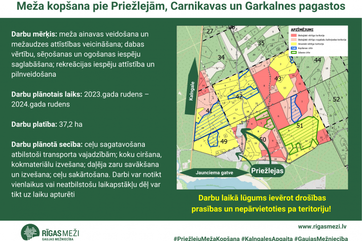 “Rīgas meži” veiks meža kopšanas darbus mežaudzē Carnikavas un Garkalnes pagastā 