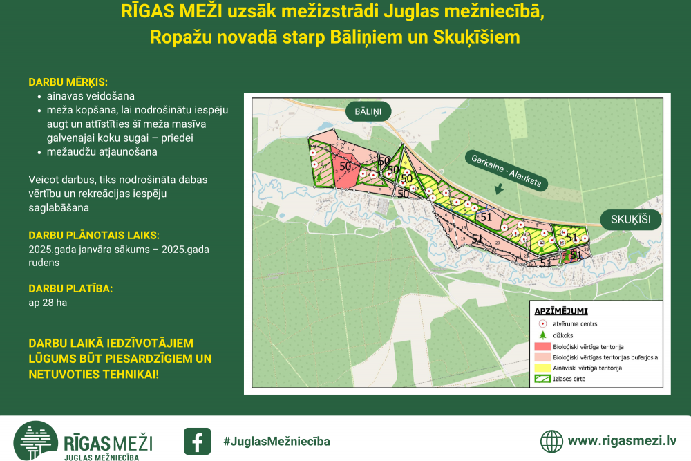 RĪGAS MEŽI uzsāk mežizstrādi Juglas mežniecībā, Ropažu novadā starp Bāliņiem un Skuķīšiem 