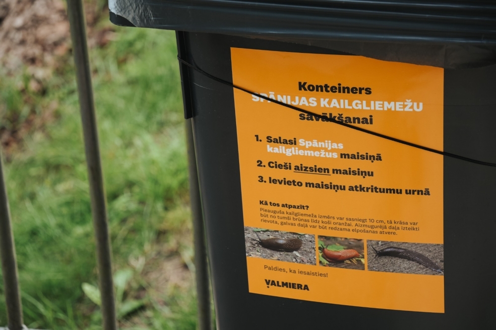 Spānijas kailgliemežu ierobežošanas pasākumi Valmierā