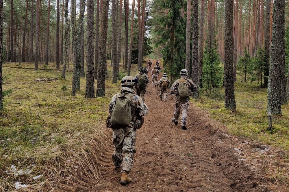 Vecsaules pagastā, Ozolainē, notiks militārās mācības