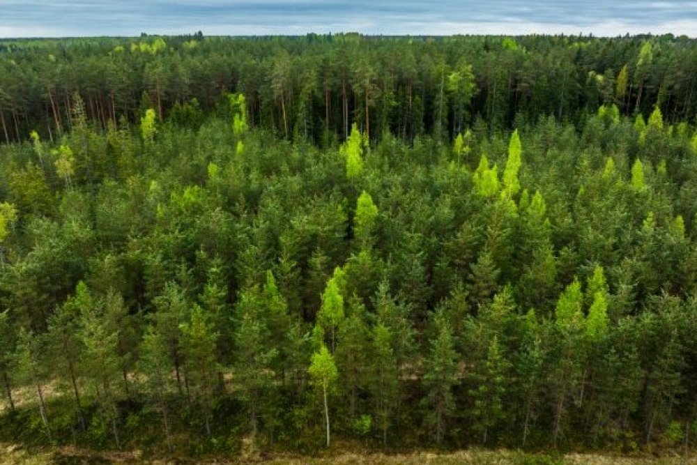LVM apliecina gatavību noslēgt sociālā dialoga vienošanos ar LMNA patstāvīgo vienību
