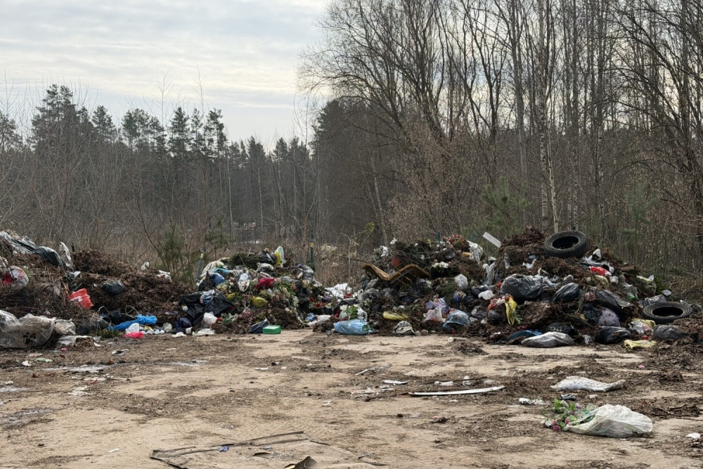 Daugavpilī turpina stihisko izgāztuvju likvidēšanu