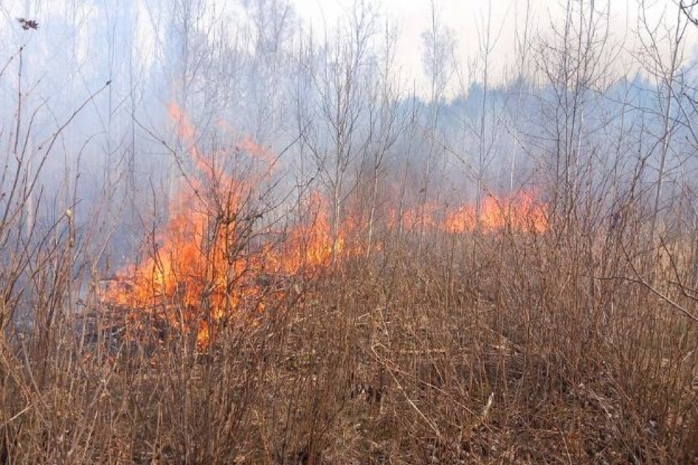 Latvijas valsts mežos aprīlī dzēsti 37 meža ugunsgrēki