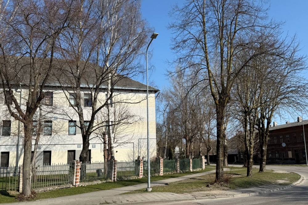 Izsludināta atkārtota publiskā apspriešana par plānoto koku ciršanu Flotes ielā mobilitātes punkta projekta realizēšanai