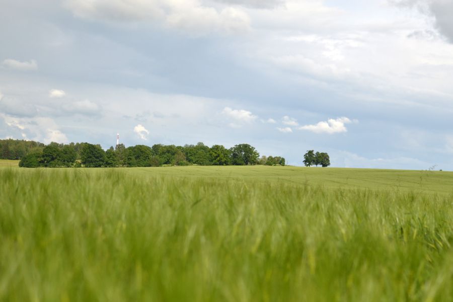 Latvijas zemes fonds sekmēs lauksaimniecisko ražošanu