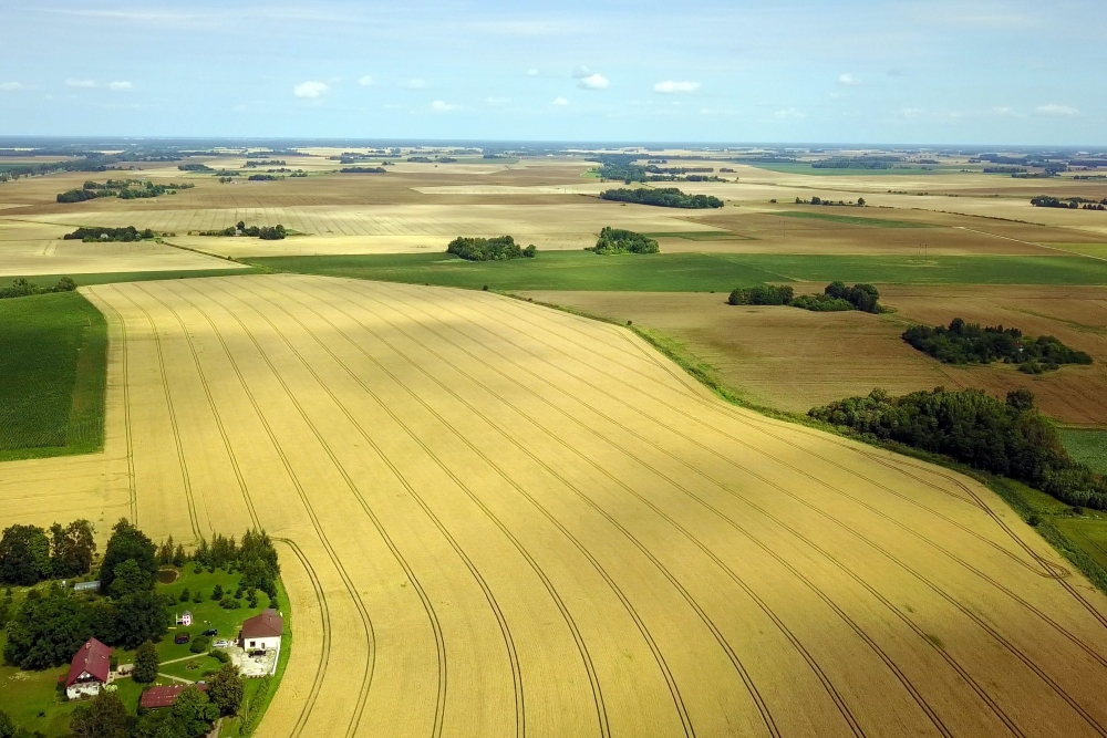 ES pilsoņiem, pērkot lauksaimniecības zemi, neprasīs latviešu valodas zināšanas
