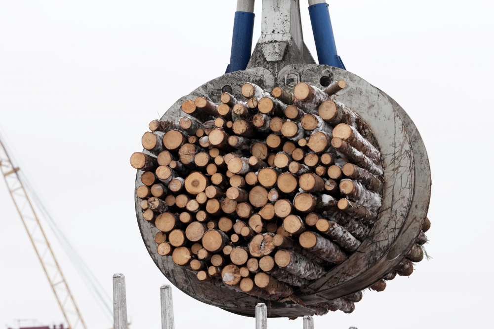 Plāno ieviest dabas resursu nodokli neapstrādātai koksnei; kūdrai likme pieckāršosies