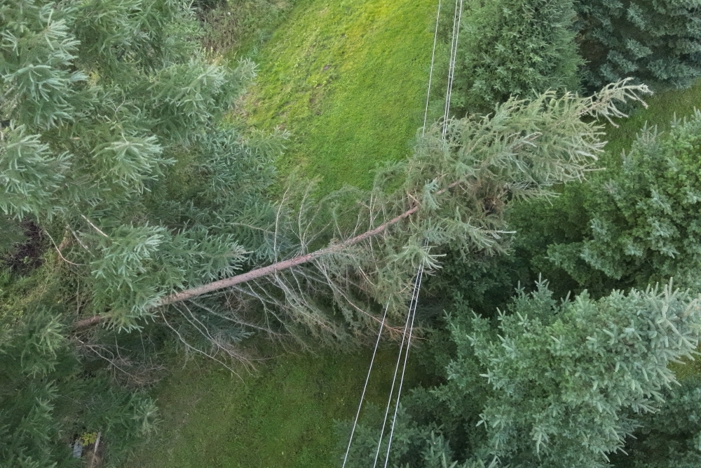 Paplašina trasi koku izciršanai gar 110 kV elektrolīnijām mežos